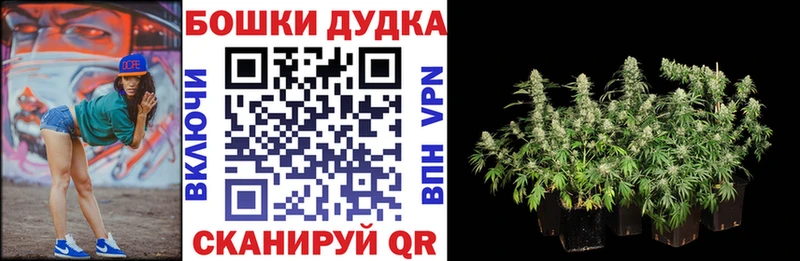 Конопля конопля Новоалтайск